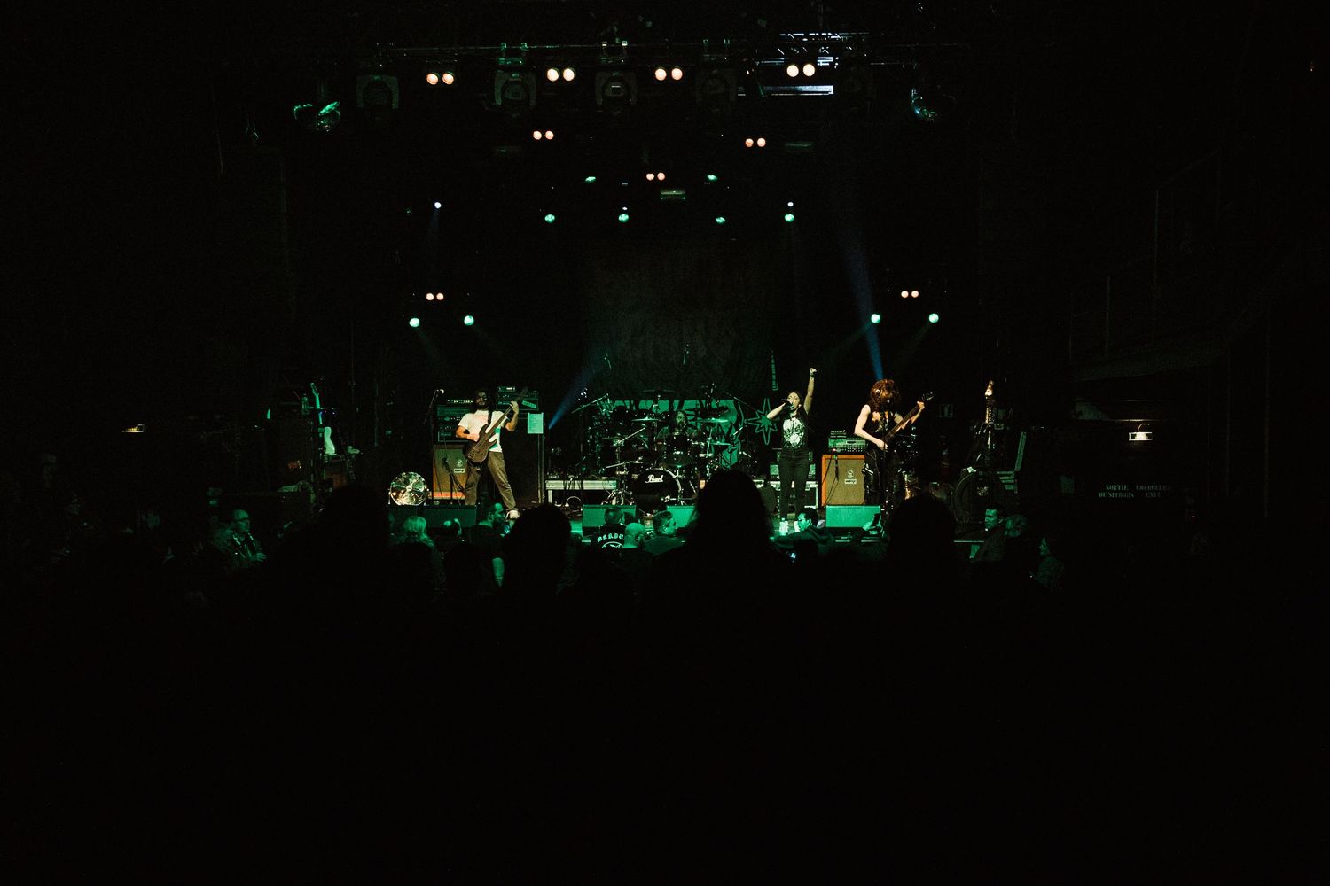 photographe concert paris