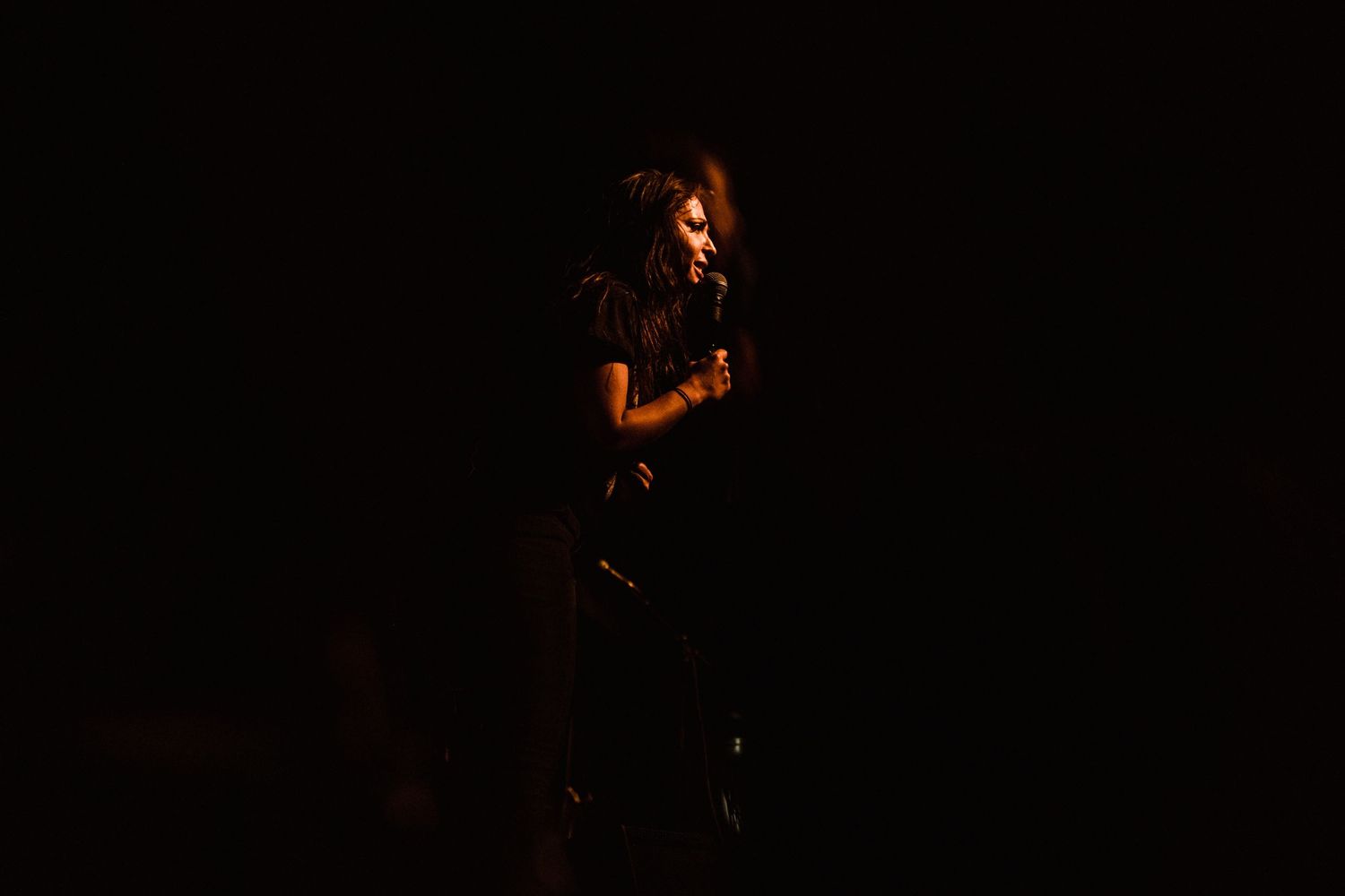 photographe concert paris