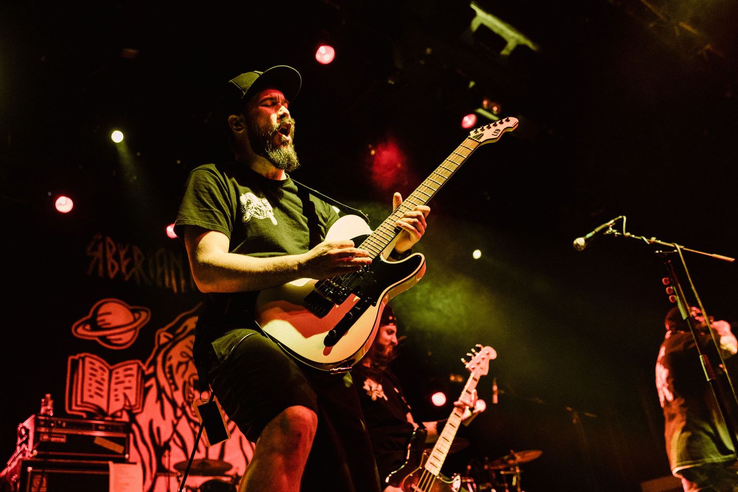photographe concert paris