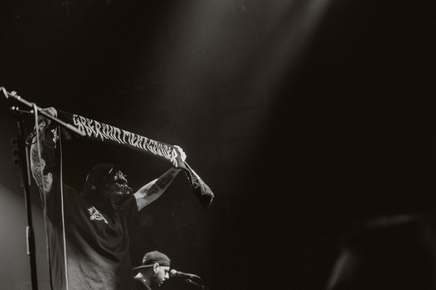 photographe concert paris