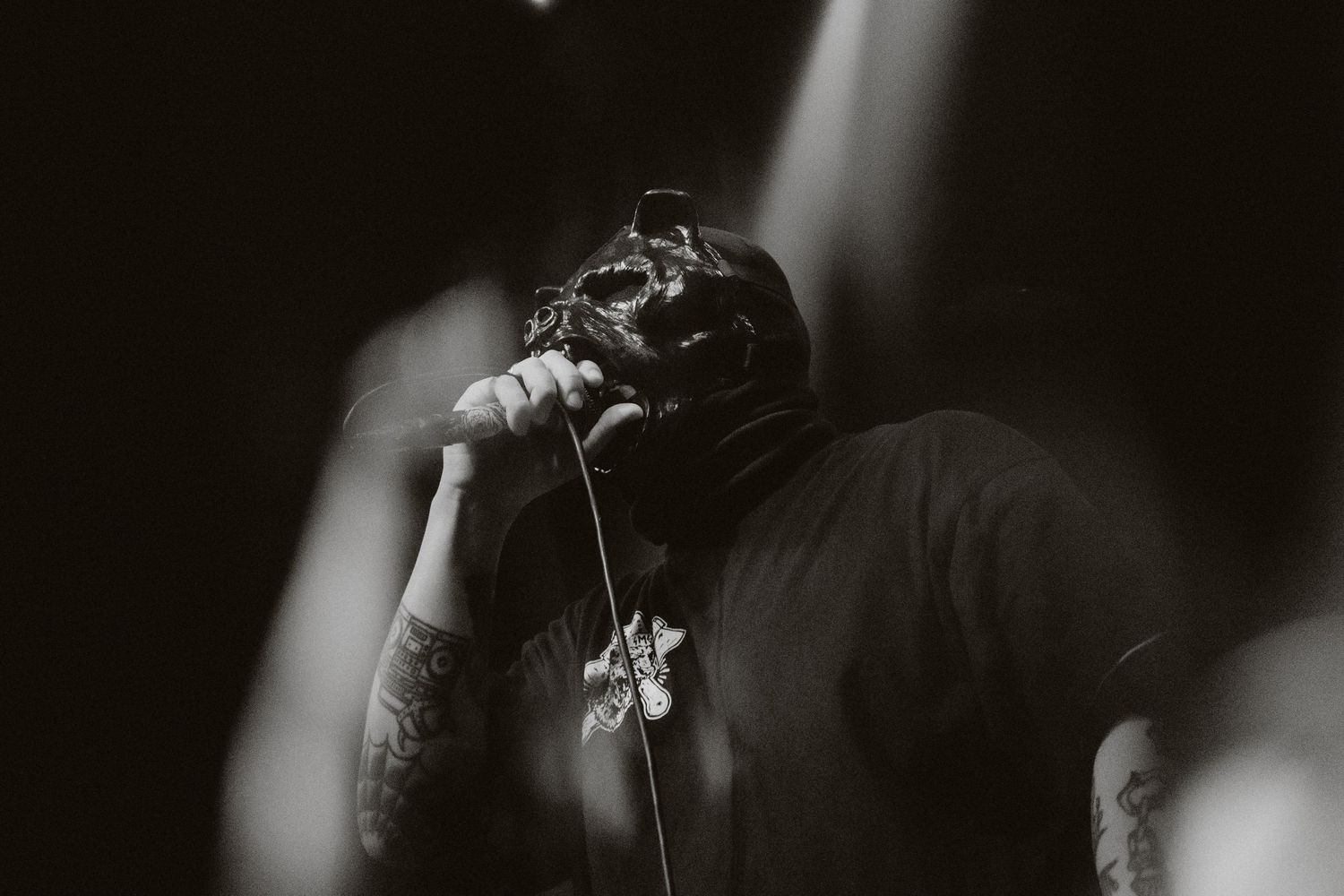 photographe concert paris