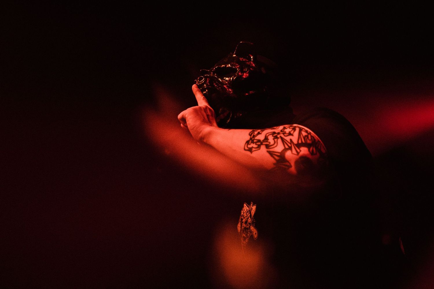 photographe concert paris