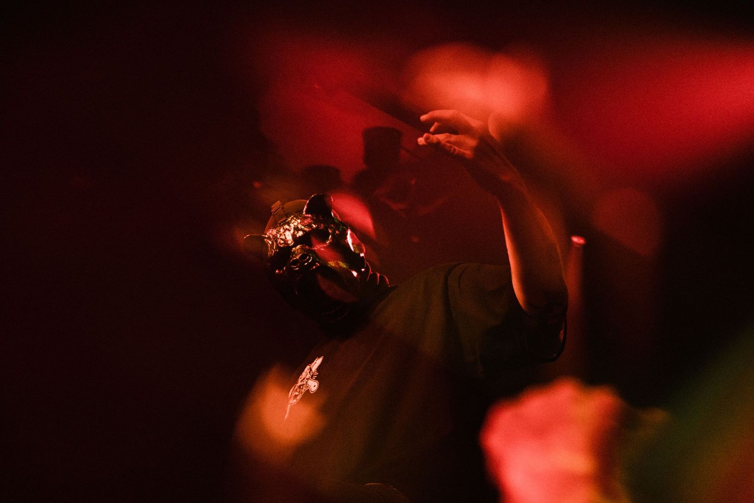photographe concert paris