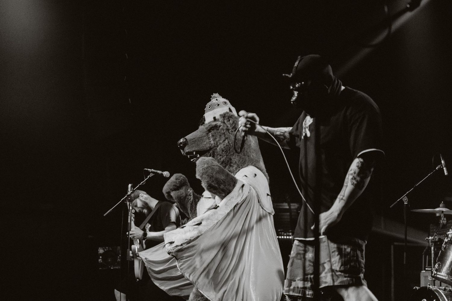 photographe concert paris