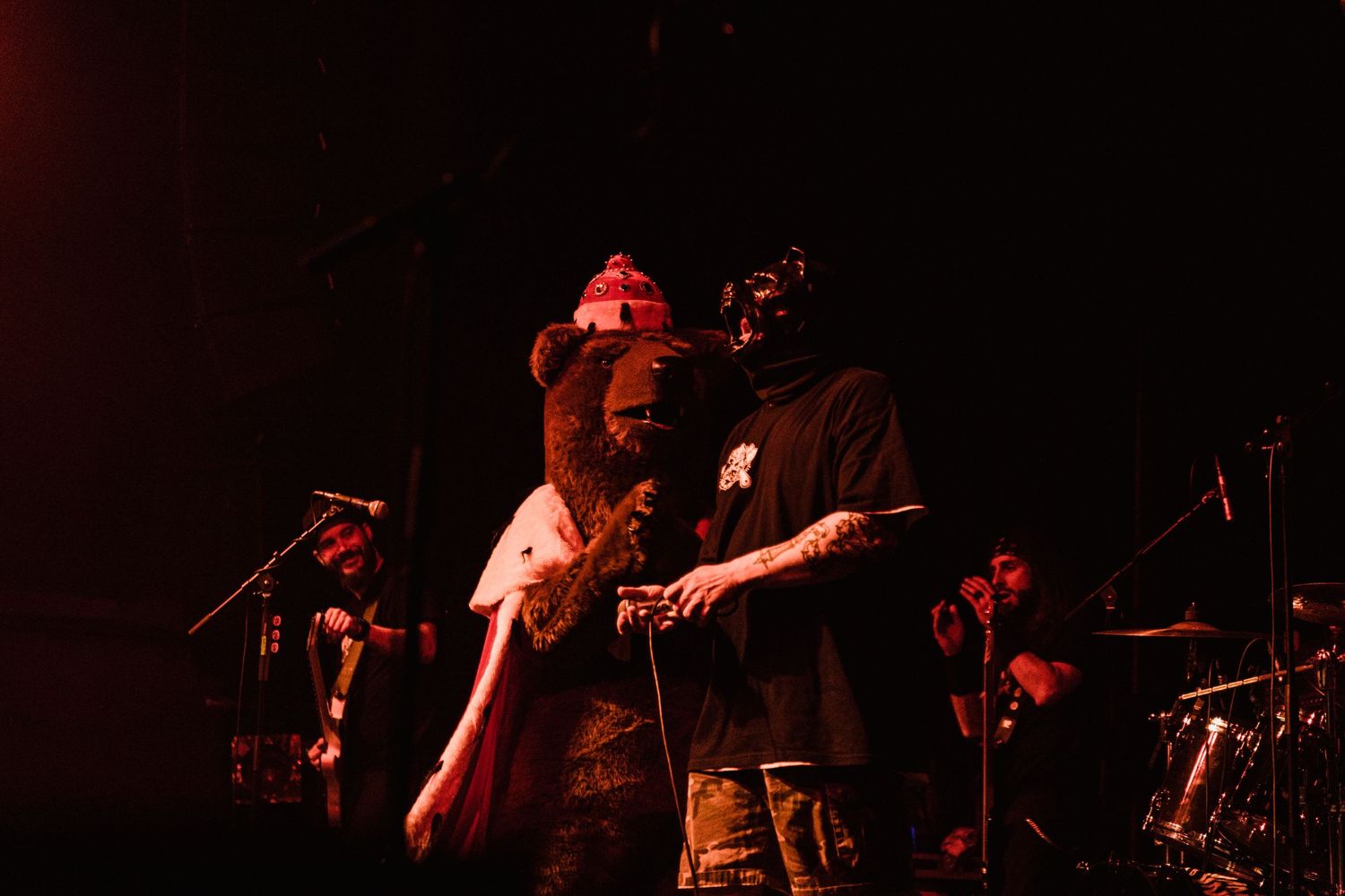 photographe concert paris