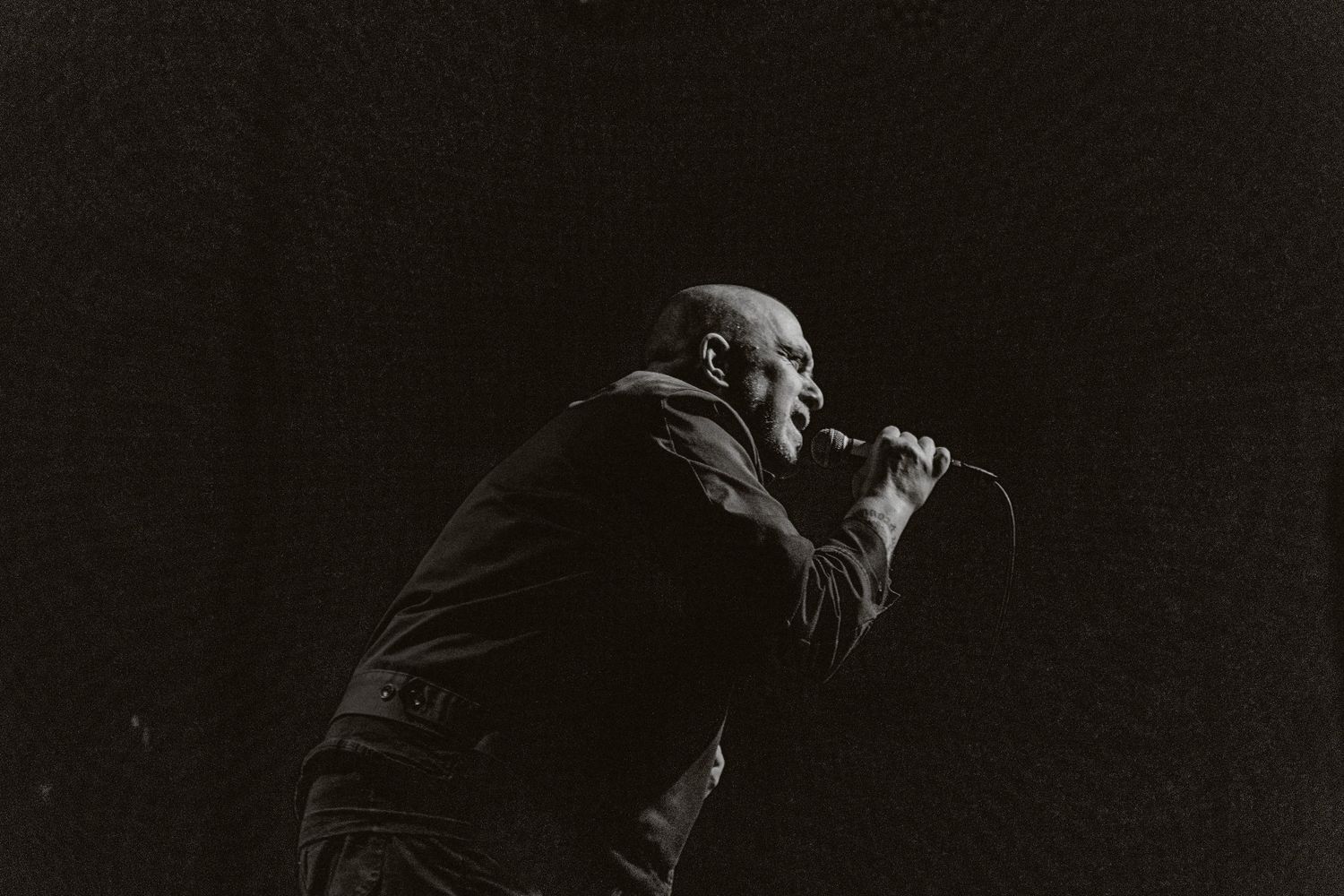 photographe concert paris