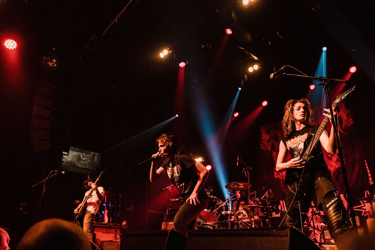 photographe concert paris