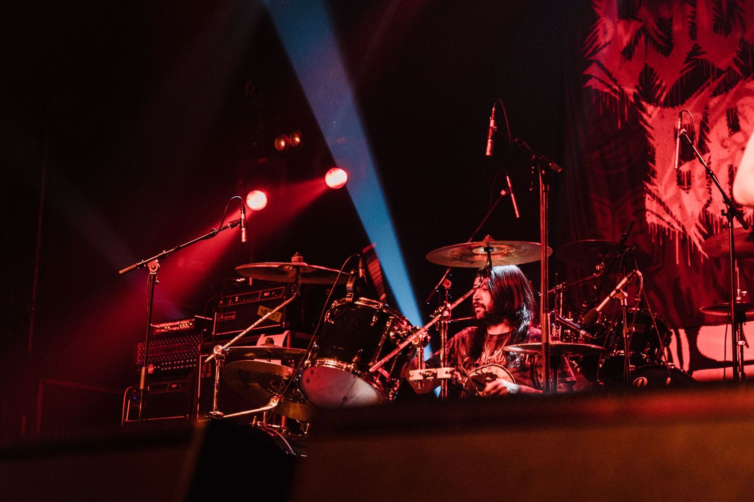 photographe concert paris