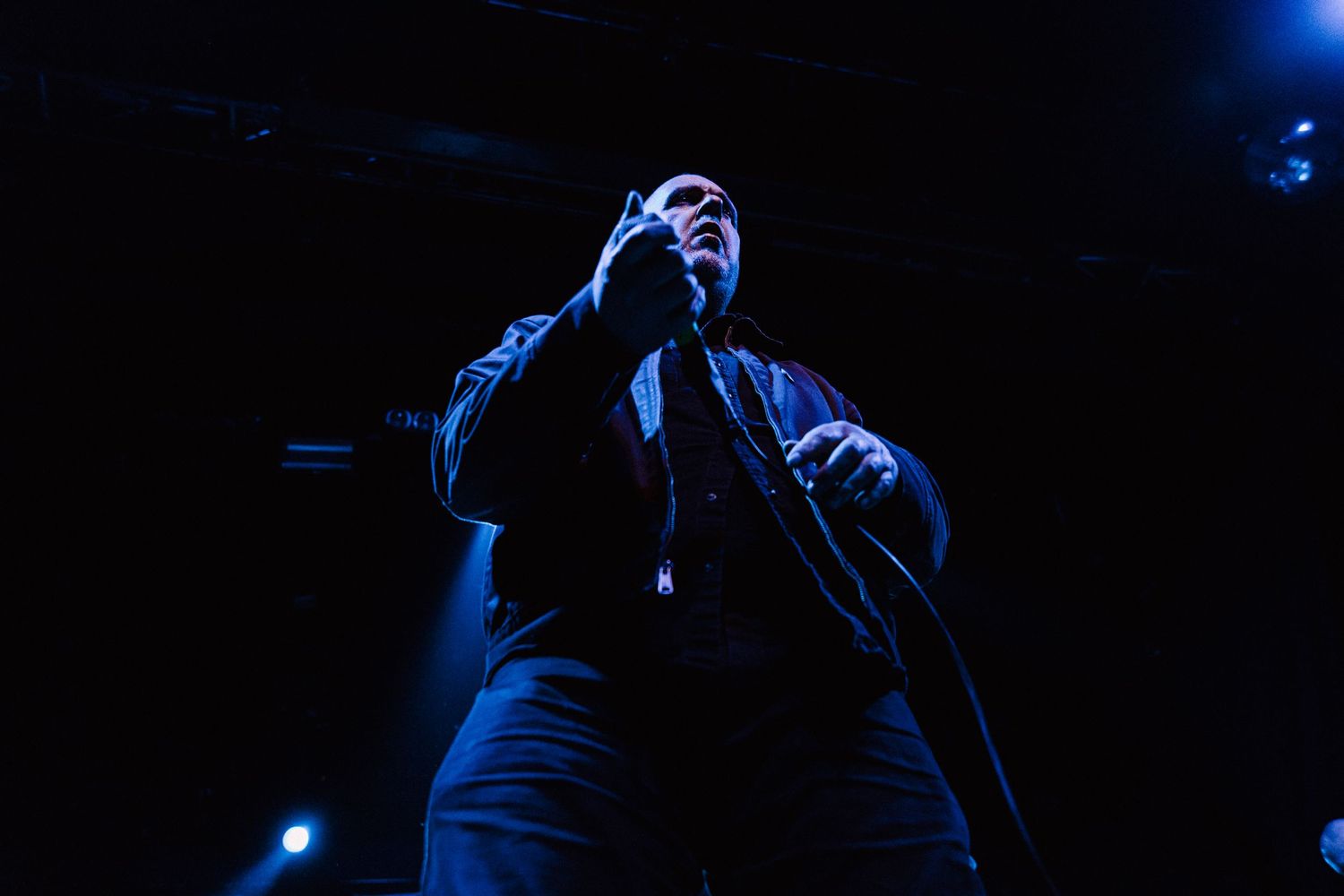 photographe concert paris