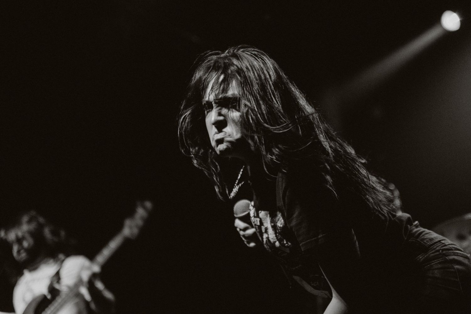 photographe concert paris