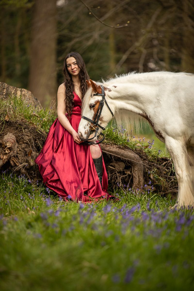 A white horse poses with someone in an elegant red gown among springtime bluebells.