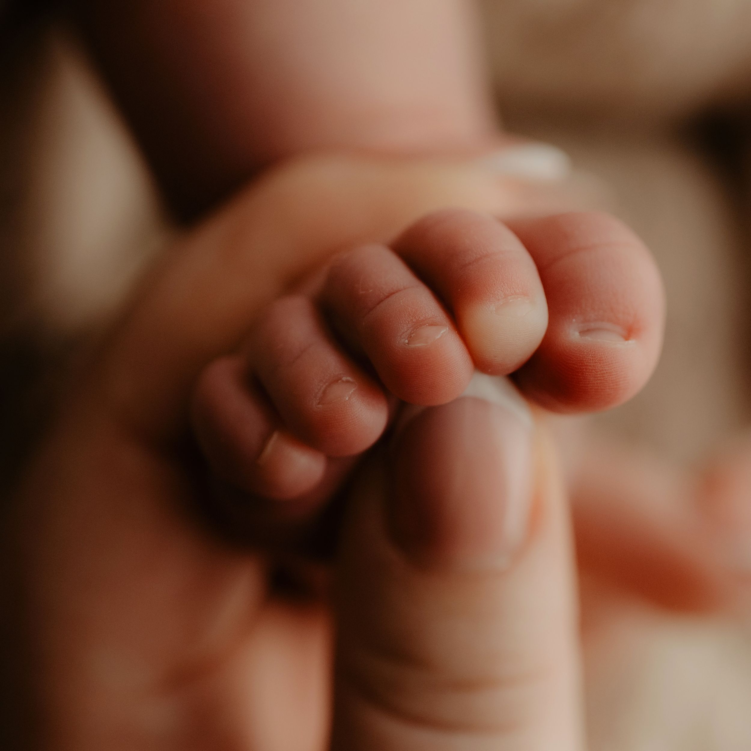 Close-up of delicate baby toes in warm sepia tones.