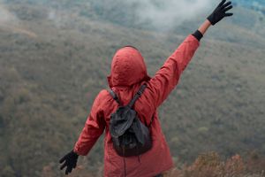 Travel