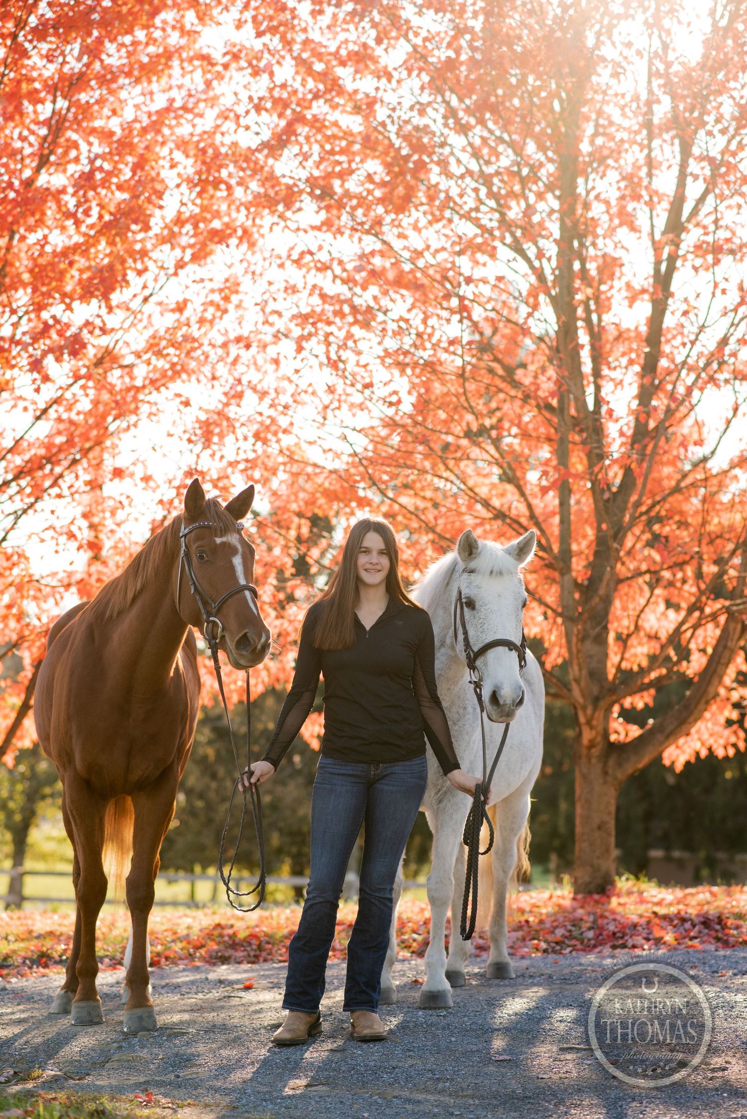 Two horses, one brown and one white, with their handler against beautiful orange autumn trees.