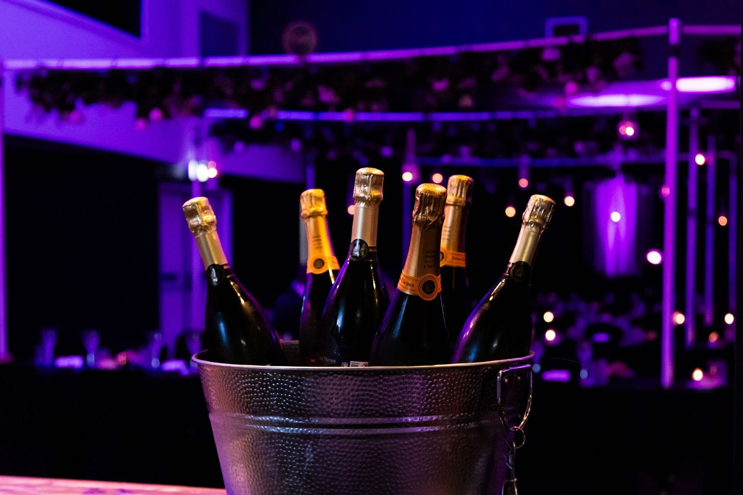 Champagne bottles chilling in ice bucket with purple ambient lighting.