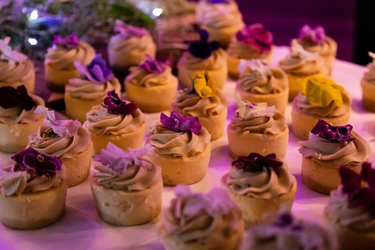 Array of delicate cupcakes with purple frosting and decorative toppings displayed under pink lighting at an event.