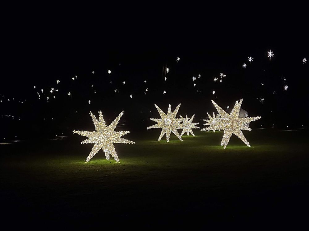Three large illuminated star decorations glowing in dark outdoor setting.
