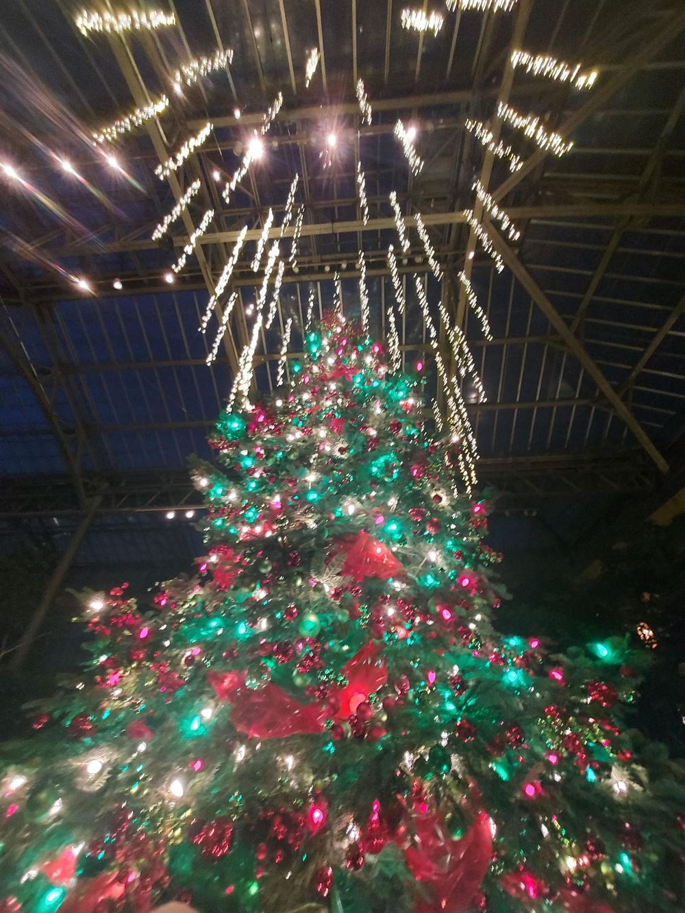 Decorated Christmas tree with cascading light strands creating dramatic ceiling display.