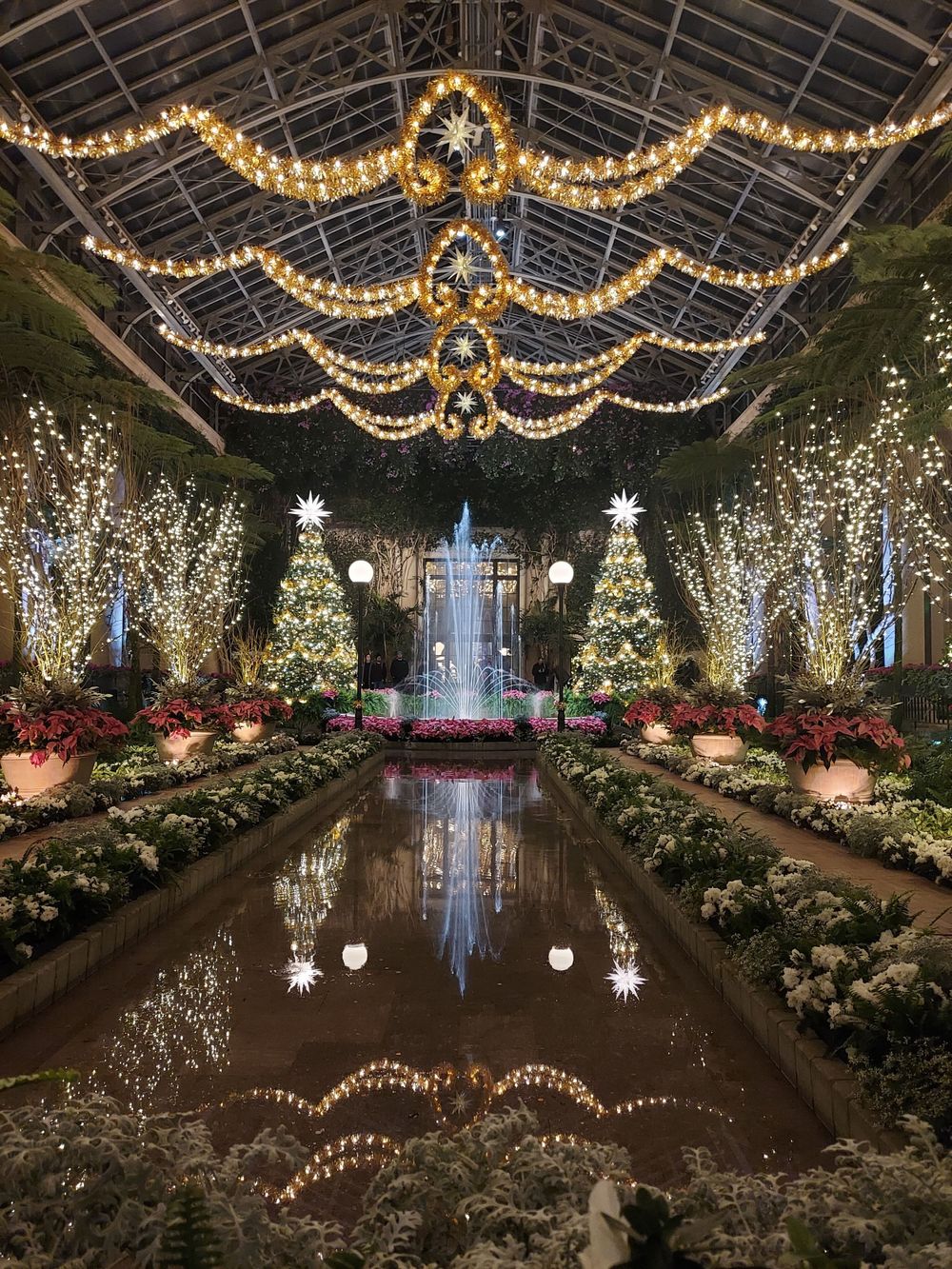Holiday conservatory display featuring illuminated trees, fountain and string lights with reflection pool.