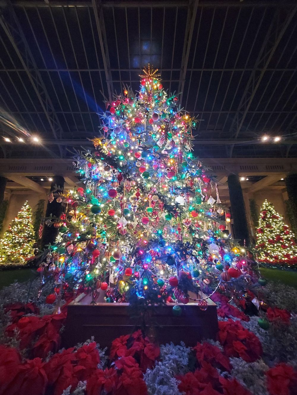A large Christmas tree brilliantly lit with colorful lights and decorations, surrounded by poinsettias at its base.