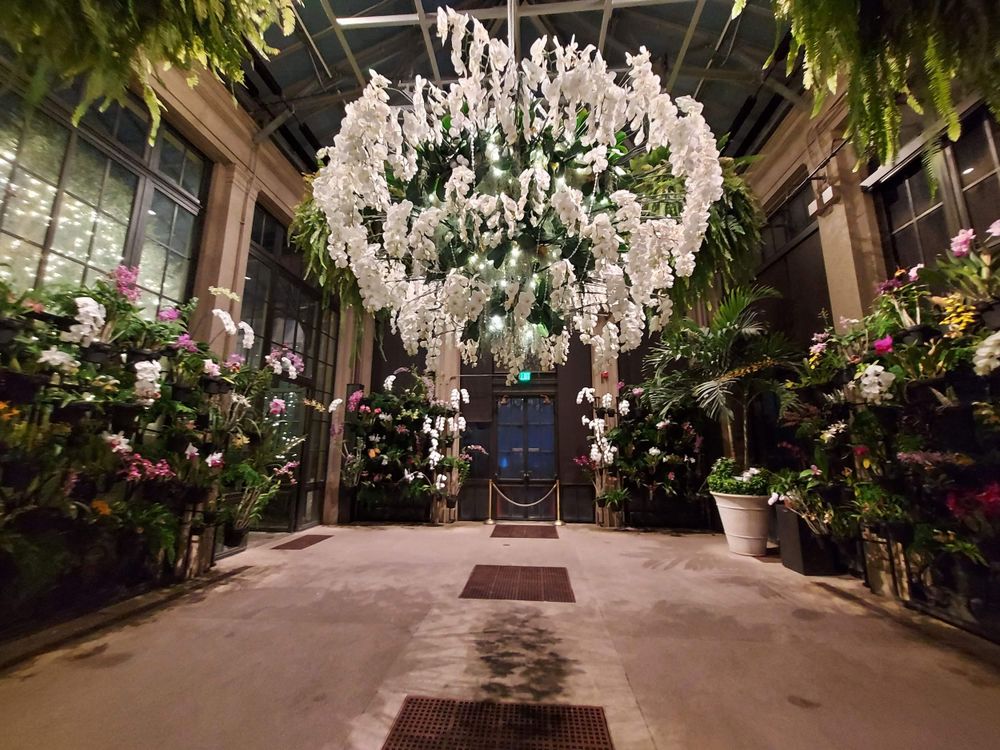 Elegant white crystal chandelier installation surrounded by lush greenery and flowers in an indoor space.