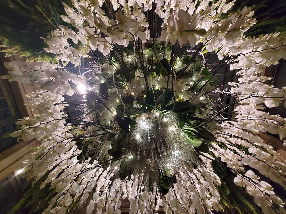 Close-up view of a dramatic white crystalline chandelier creating a stunning starburst effect.