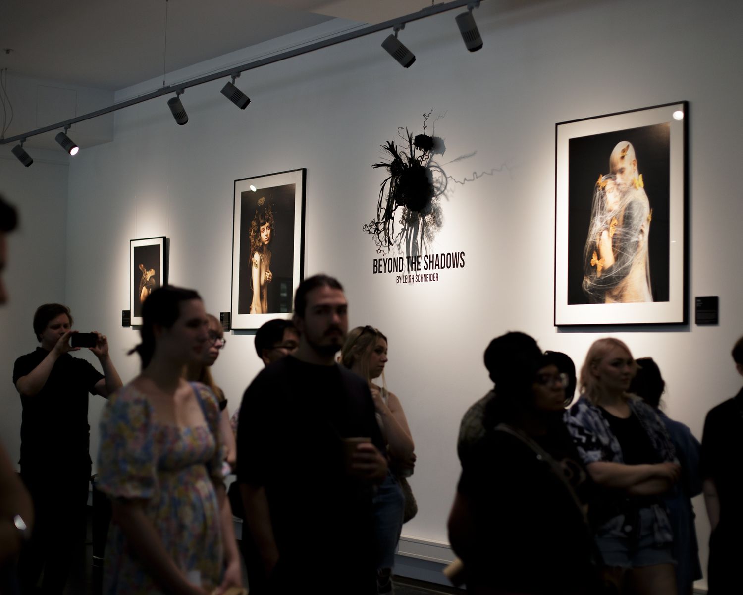 leigh schneider beyond the shadows opening