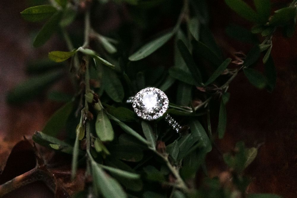 Engagement ring detail image.
