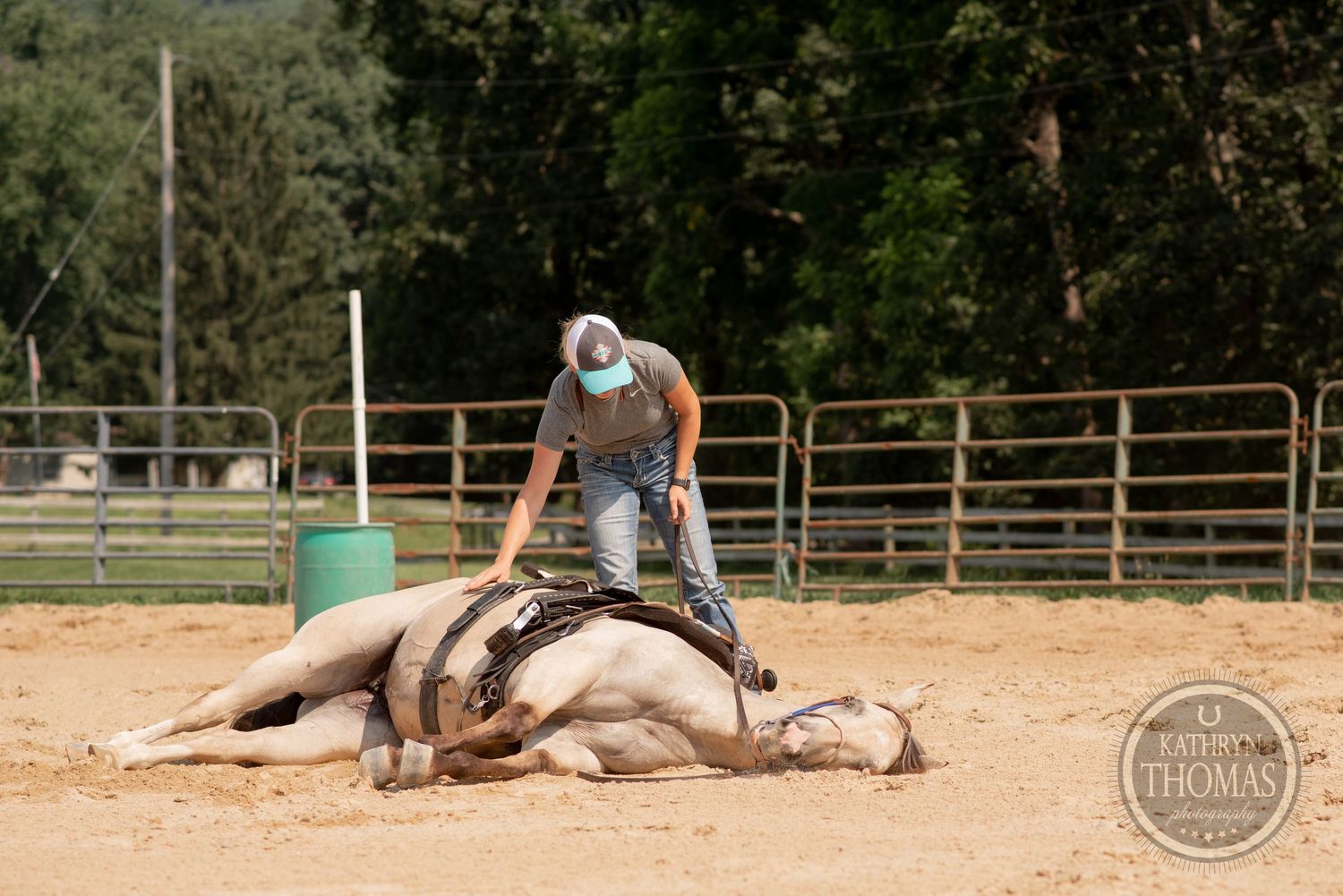 Training session with horse lying down in sandy arena.