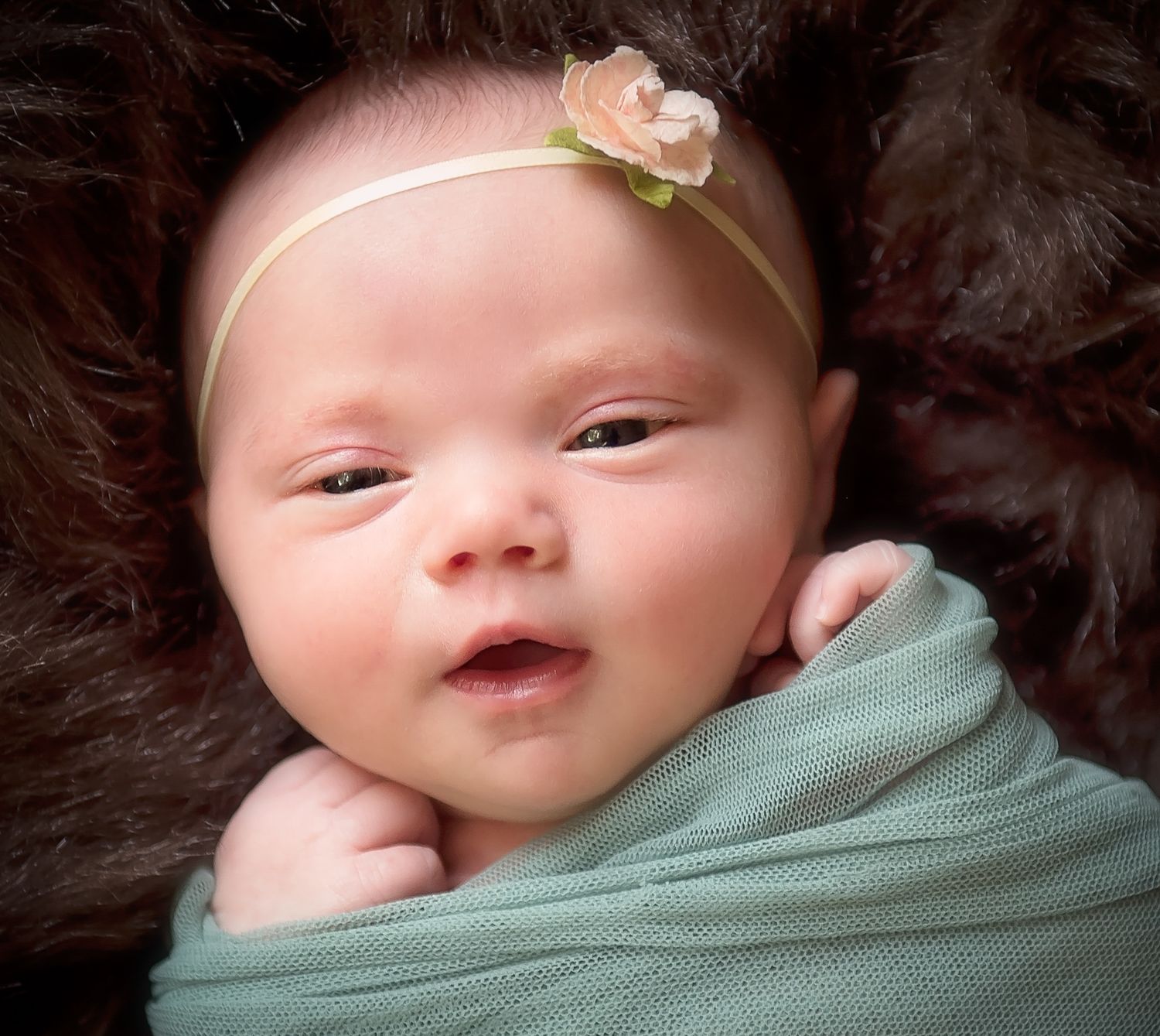 Newborn Photos