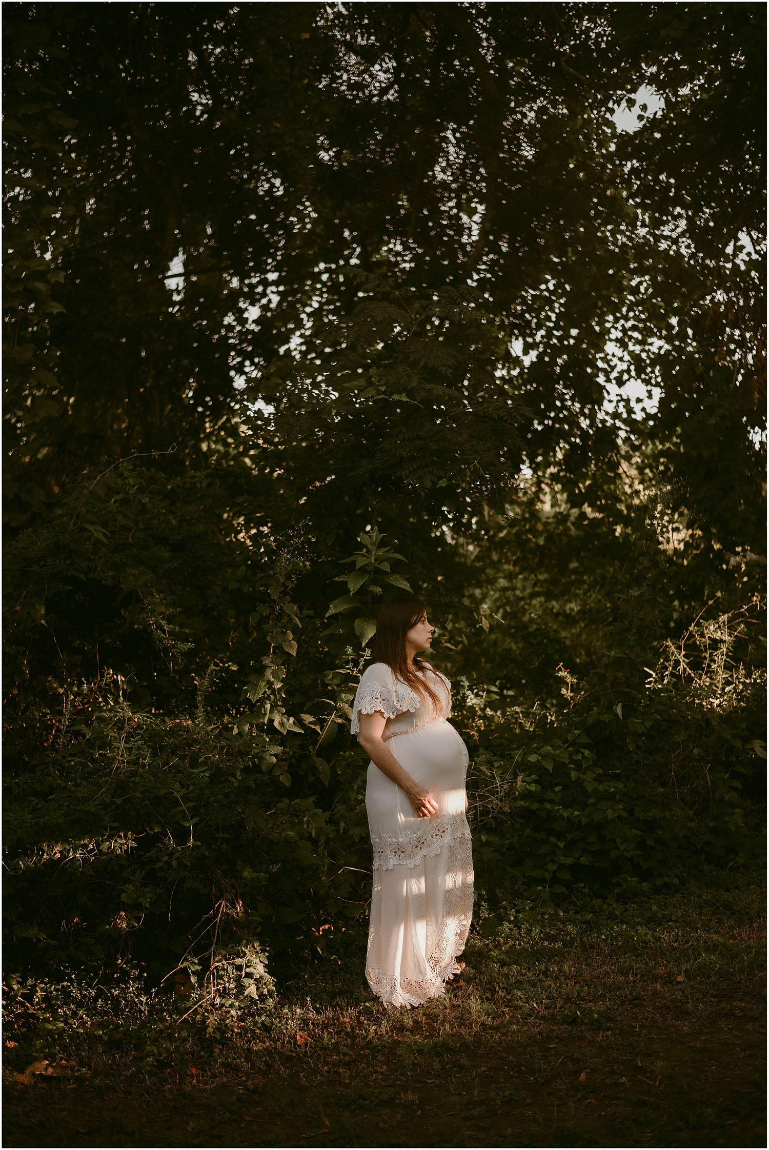 Sunlit maternity photograph in a wooded setting with dappled light through trees.