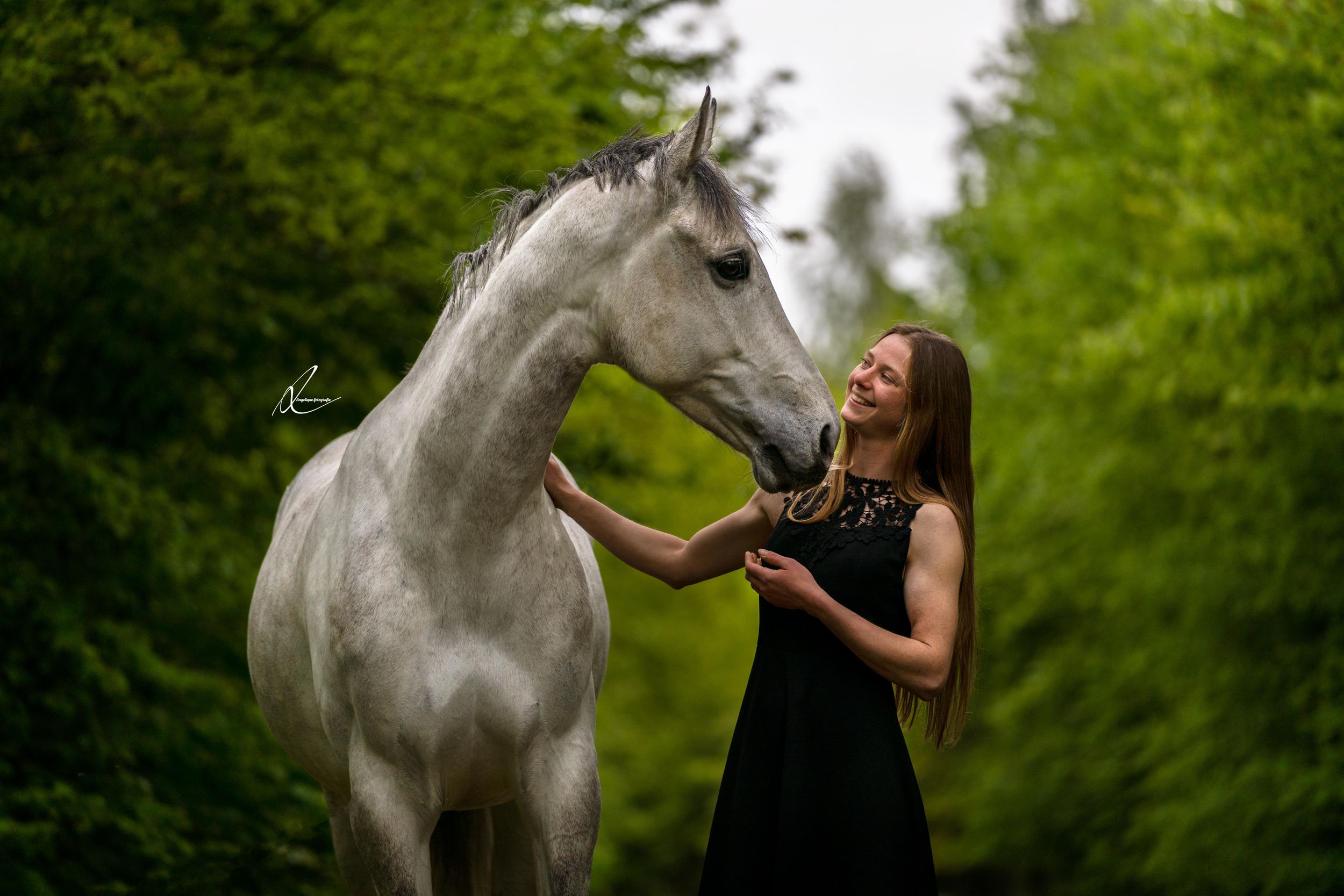 Graceful white horse being gently touched in a lush green forest setting.