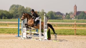 Horse and rider clearing a show jumping fence in an outdoor arena.