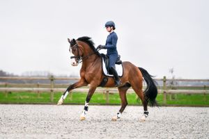 Horse and rider performing dressage movements in an outdoor arena on a cloudy day.
