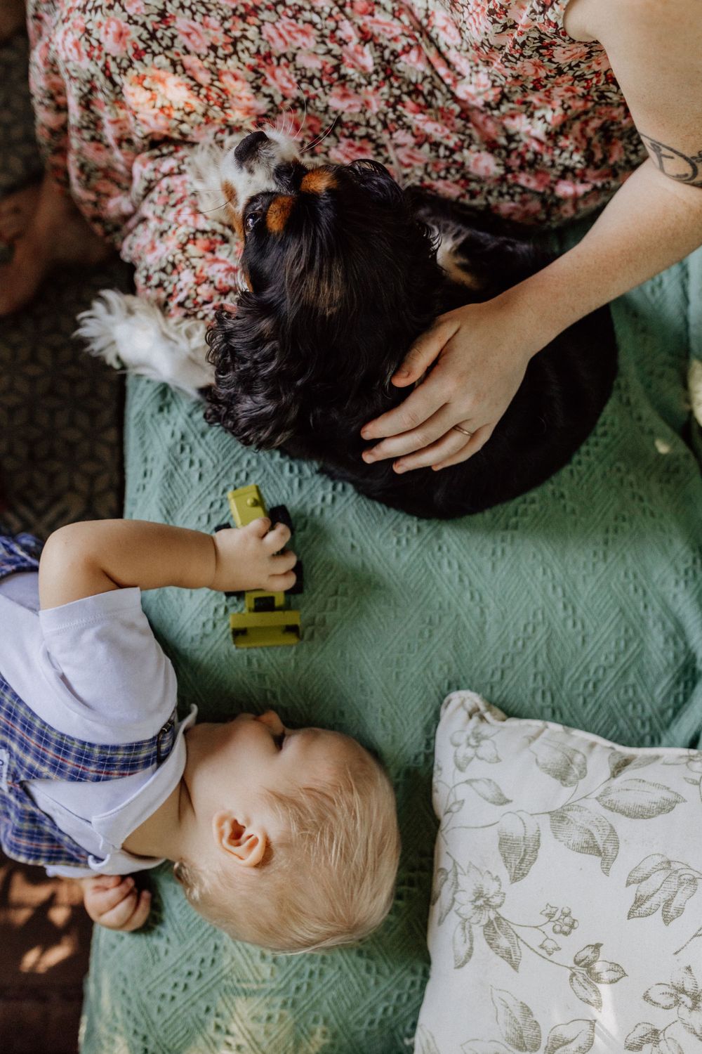 toddler laying on a green couch with king charles cavalier dog with mother's hand petting the dog