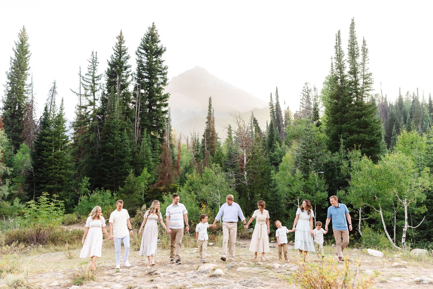 Family walking hand in hand through a scenic mountain forest landscape.