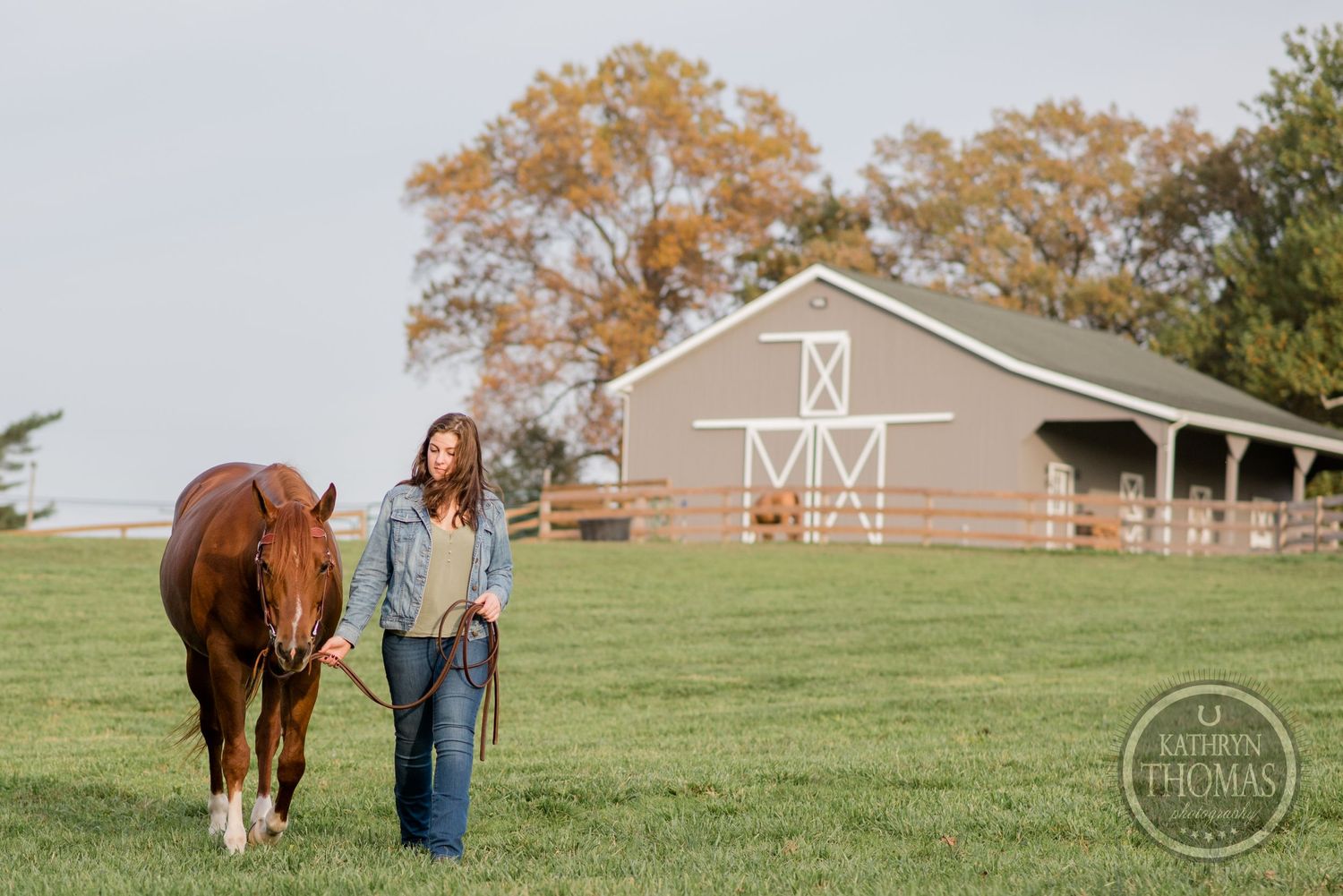 A chestnut horse and companion walk across a grassy field with a barn in the background.