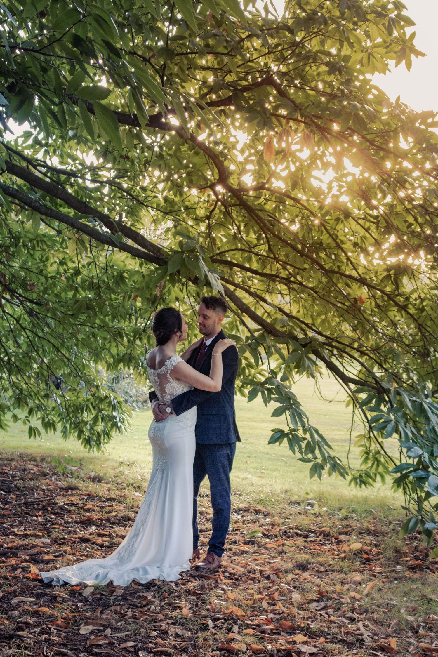 Romantic wedding photos under tree canopy with golden sunlight filtering through leaves.