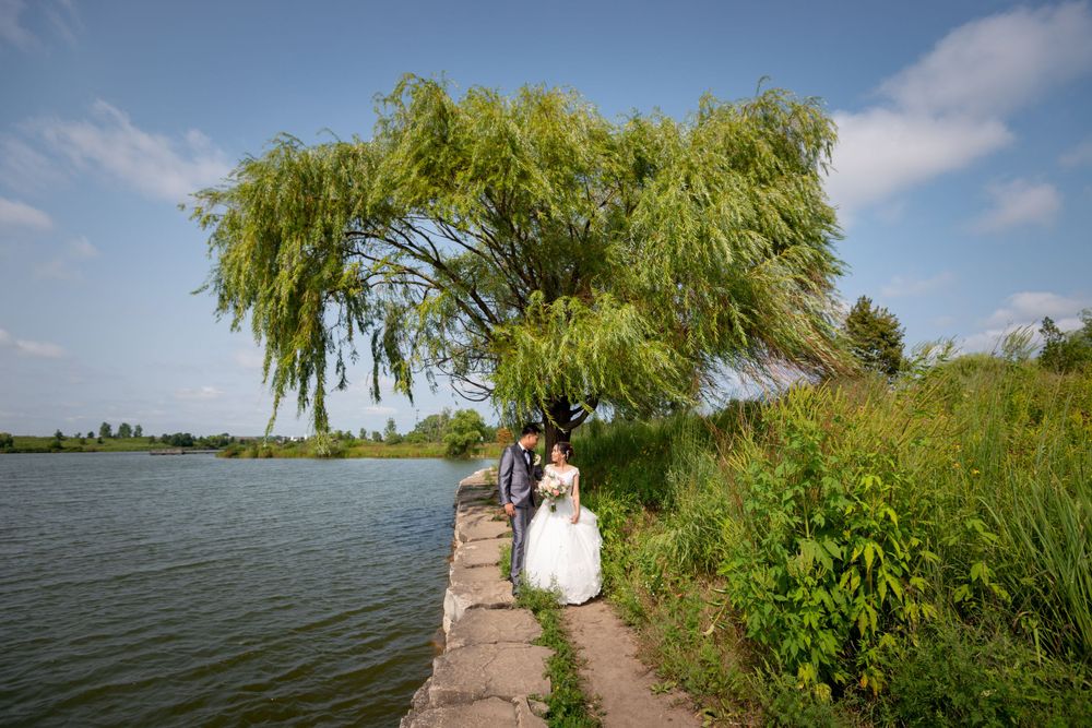 A couple walks along a lakeside path under a dramatic weeping willow tree.