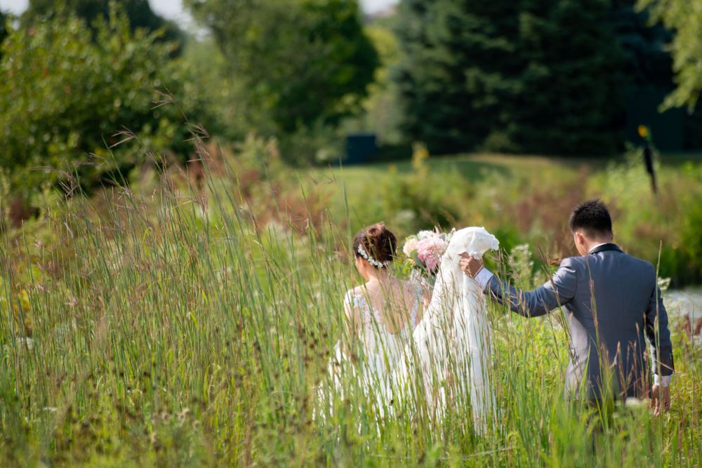 Wedding celebration captured in a series of romantic outdoor meadow shots.