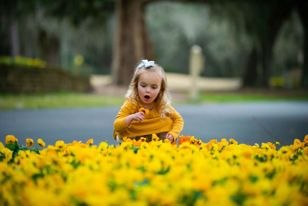 A child in a yellow sweater leans over to look at yellow flowers blooming.