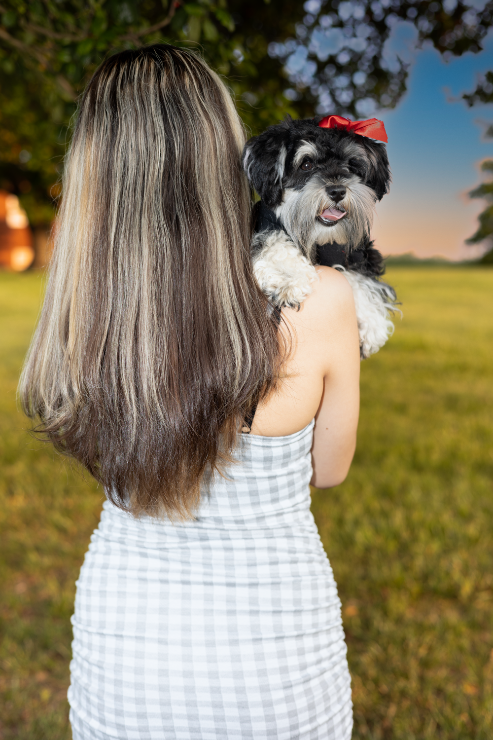 Pet photography. Lifestyle photography. Northern Virginia Photography.