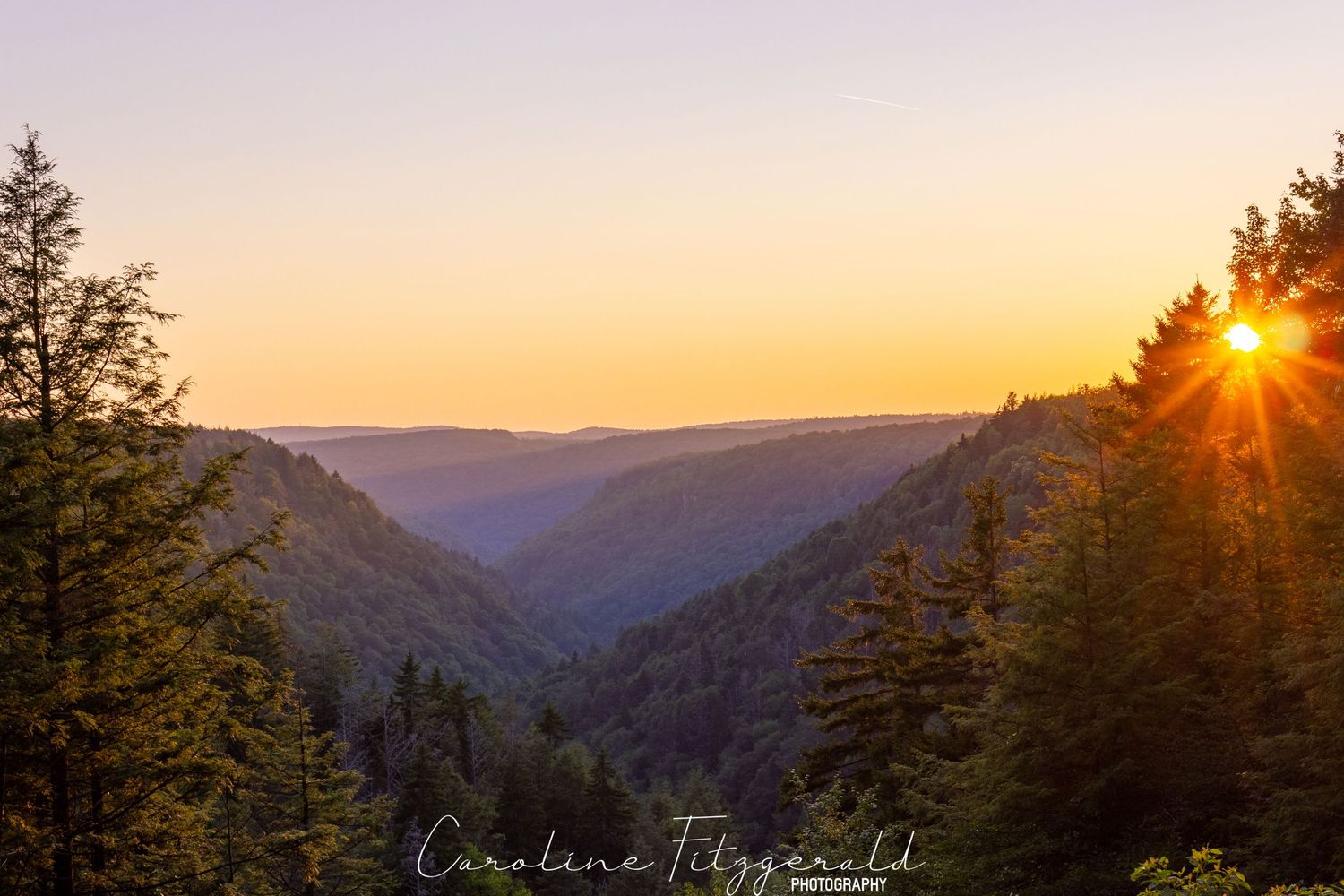 Golden sunset over mountain valley with sun star bursting through trees in silhouette.