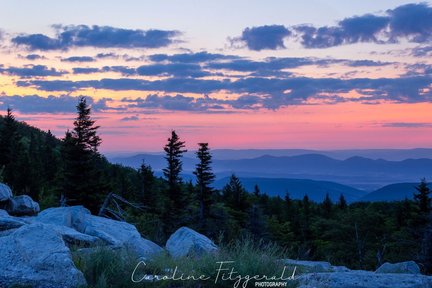Dramatic sunset over mountain ridges with silhouetted evergreen trees in the foreground.