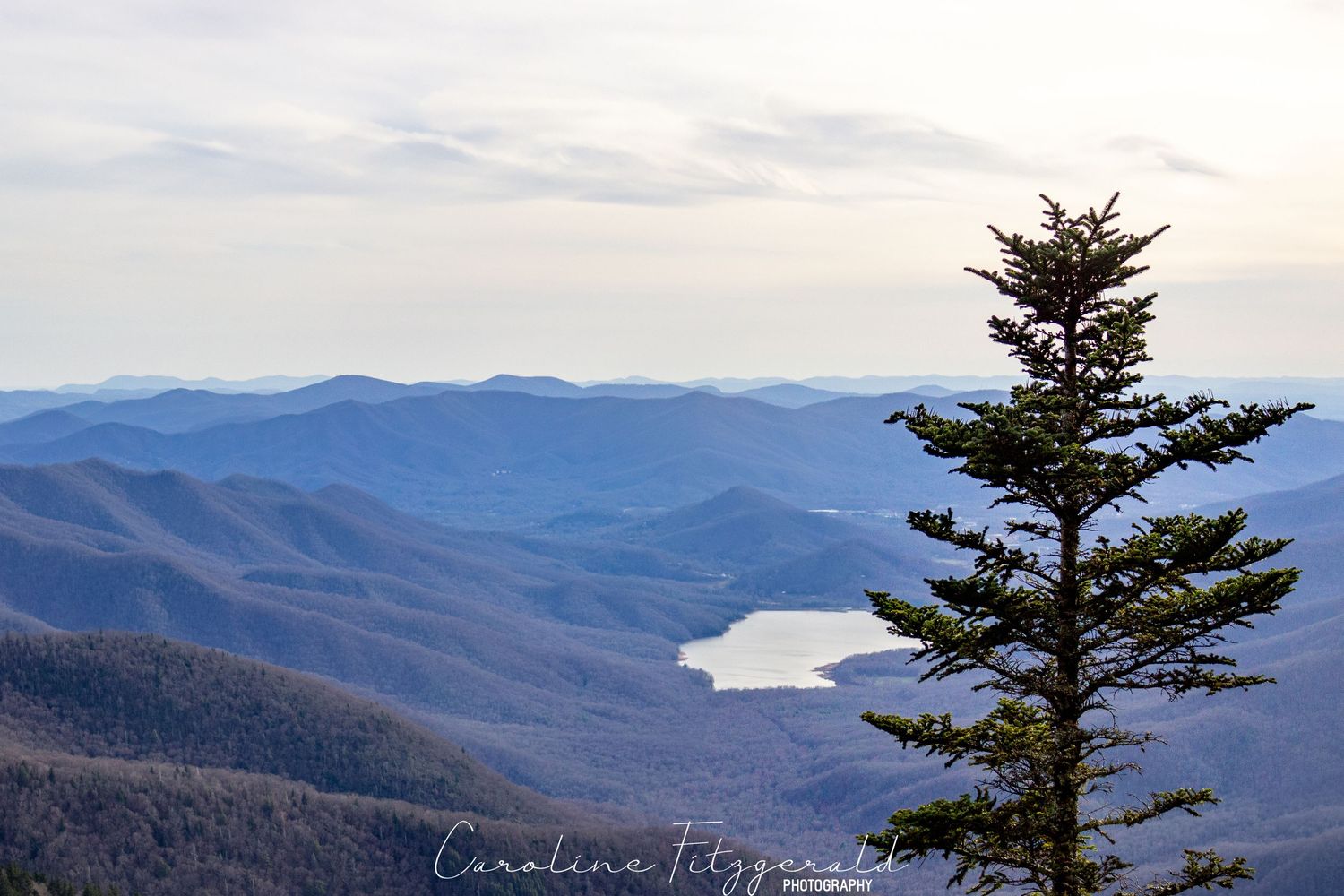 Mountain vista with evergreen trees in foreground and distant blue ridges extending to the horizon.