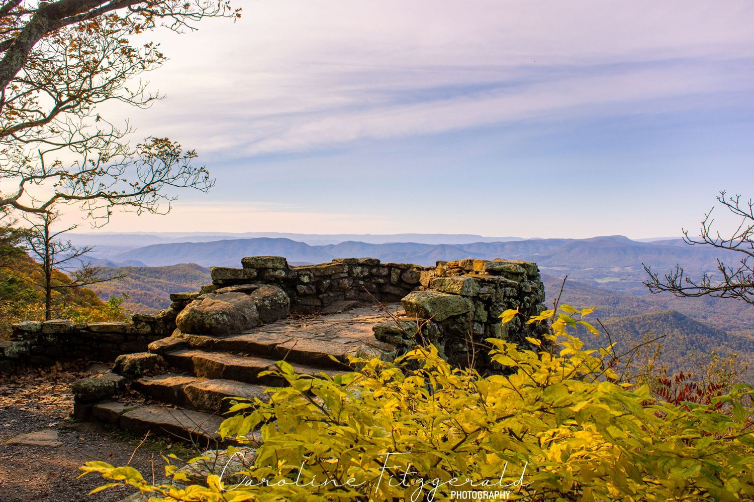 Rocky mountain overlook with yellow wildflowers blooming in the foreground against a blue sky.