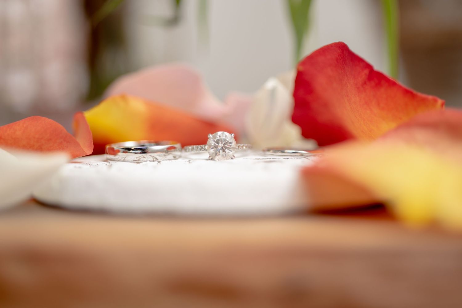 Wedding Session