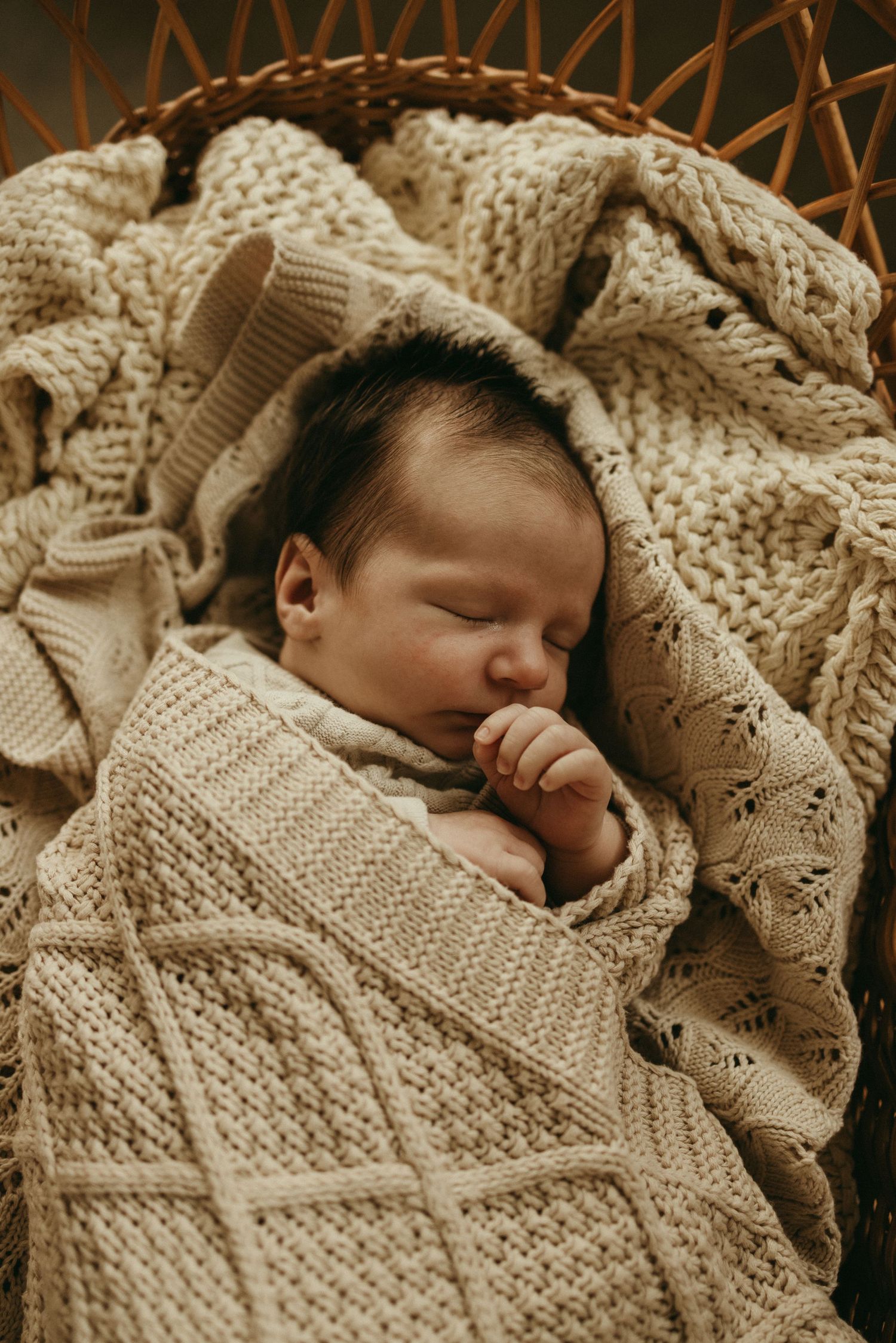 geelong melbourne newborn maternity family couples photographer photography