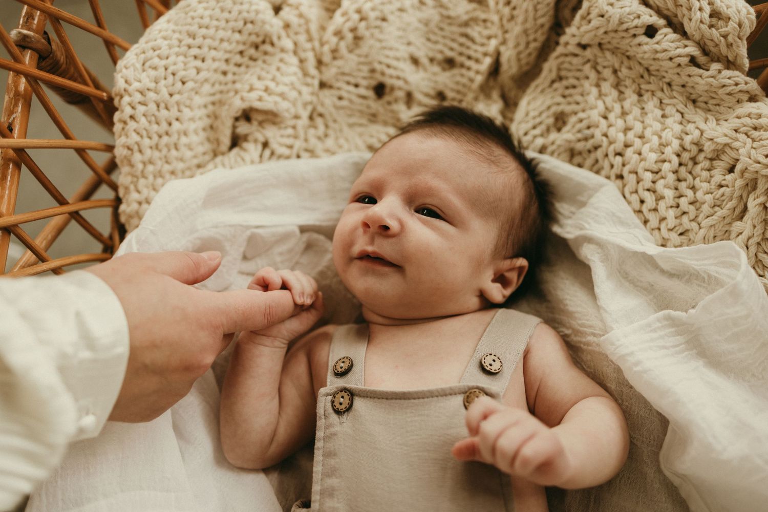 geelong melbourne newborn maternity family couples photographer photography