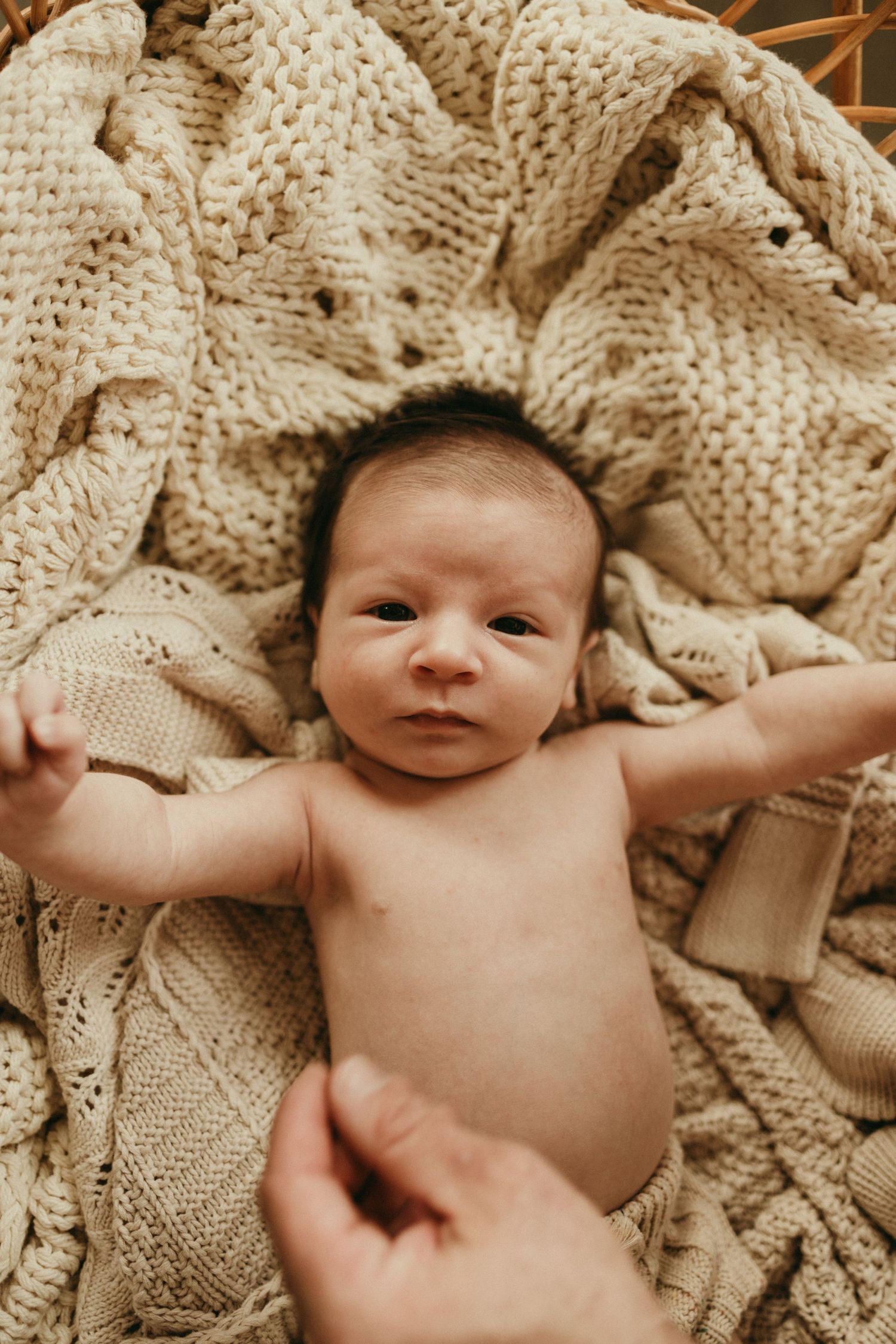 geelong melbourne newborn maternity family couples photographer photography